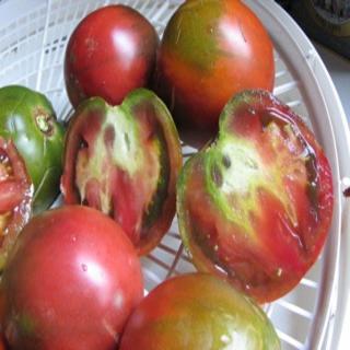Siphosami Malunga on X: Star 9037..by Starke Ayres. uMakhoya aka the Don  of Tomato Varieties. 9/10 fruits, uniform size and shape per cluster. It is  performing beyond expectations. #ESidakeni #Siyalima  #TomatoFarmingInZimbabwe #Asijiki